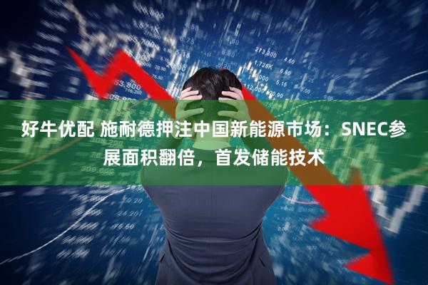 好牛优配 施耐德押注中国新能源市场：SNEC参展面积翻倍，首发储能技术