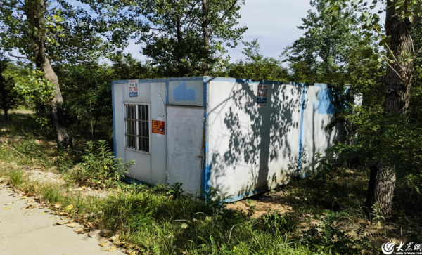 旗开网 青岛西海岸新区隐珠街道：高效推进林业执法，筑牢林地安全屏障