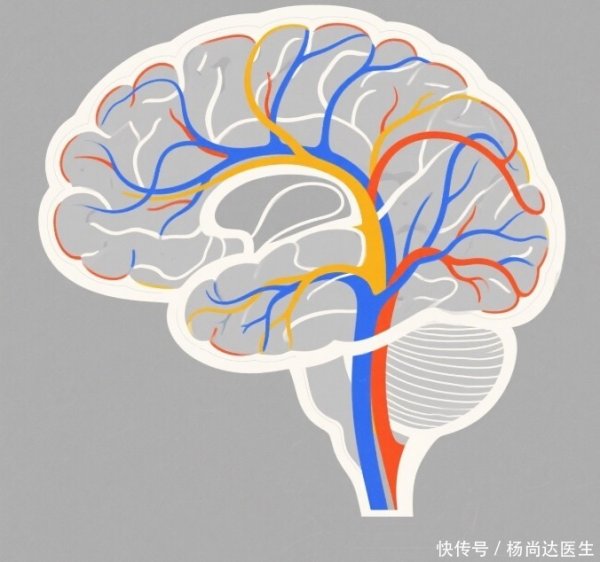 诚信优配 老人脑血管常出问题，医生坦言：做到这 4 点就能避免