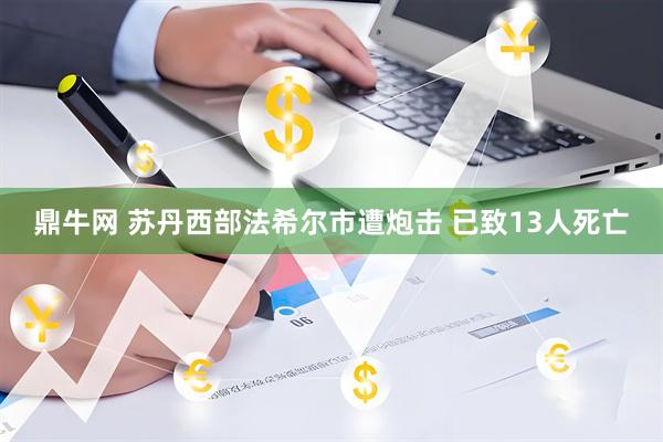 鼎牛网 苏丹西部法希尔市遭炮击 已致13人死亡