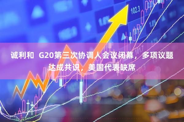 诚利和  G20第三次协调人会议闭幕，多项议题达成共识，美国代表缺席