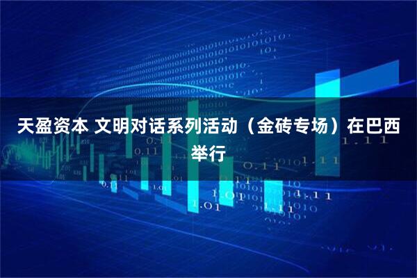 天盈资本 文明对话系列活动（金砖专场）在巴西举行