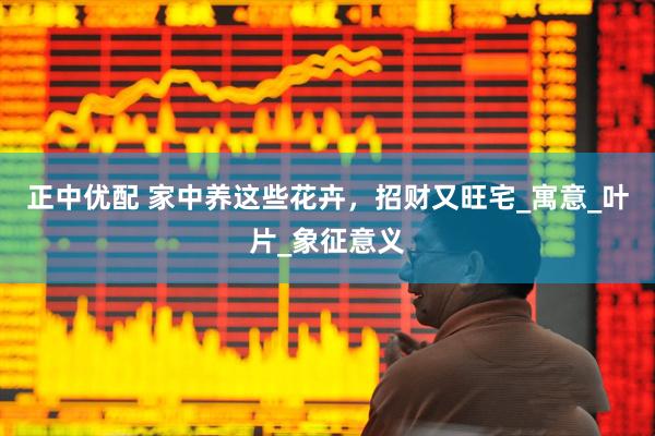 正中优配 家中养这些花卉，招财又旺宅_寓意_叶片_象征意义