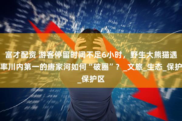 富才配资 游客停留时间不足6小时，野生大熊猫遇见率川内第一的唐家河如何“破圈”？_文旅_生态_保护区