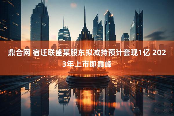 鼎合网 宿迁联盛某股东拟减持预计套现1亿 2023年上市即巅峰