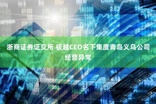 浙商证券证交所 极越CEO名下集度青岛义乌公司经营异常