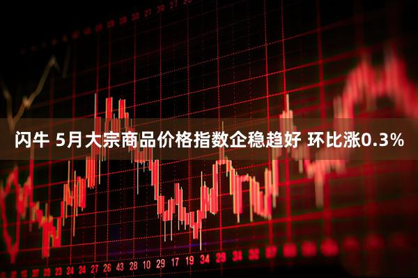 闪牛 5月大宗商品价格指数企稳趋好 环比涨0.3%